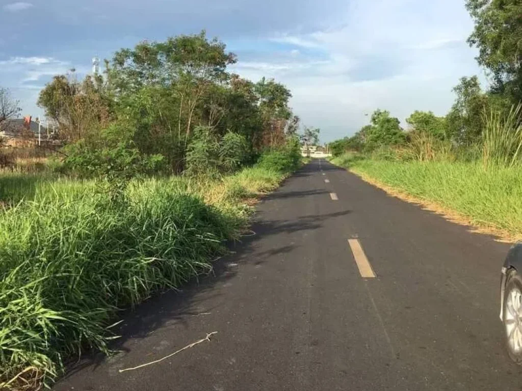 ถูกสุดในย่านนี้ ขายที่ดินทำเลดีติดถนน ซอย24 คลองสี่ตะวันออก อคลองหลวง จปทุมธานี ใกล้มอเตอร์เวย์บางนา-บางปะอิน