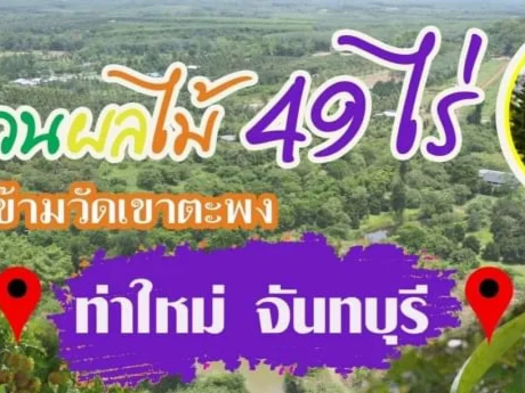 ขายสวนผลไม้ ทุเรียน เงาะ มังคุด พื้นที่ 49 ไร่ 14 ตรวบ้านหนองคล้า ท่าใหม่ จันทบุรี ราคา 39 ล้านบาท