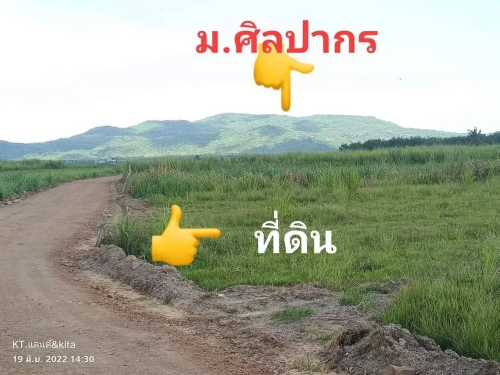 ที่ดินเปล่าขายเหมาแปลงโซนชะอำ 4ไร่กว่า โฉนดครุฑแดง มีน้ำมีไฟฟ้าจ้า สนใจทักมาด่วนนะคะ