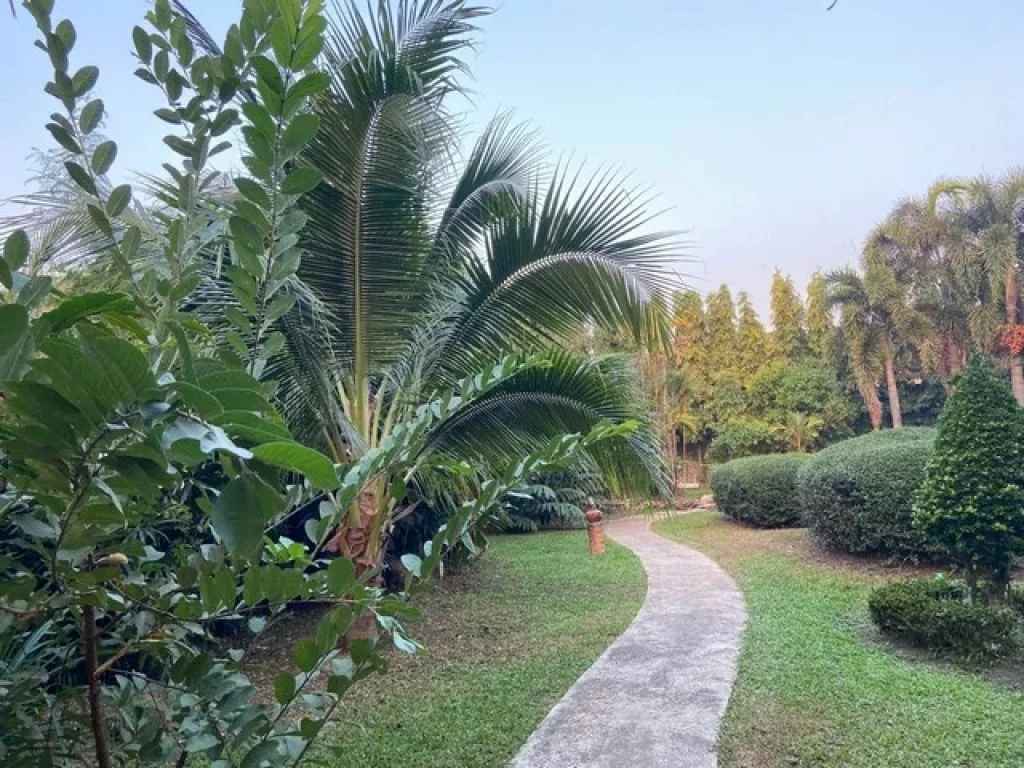 โรงแรมสวรรคบุรีบูติก จังหวัดสุโขทัย พื้นที่ 2 ไร่เศษ มี 3 อาคาร