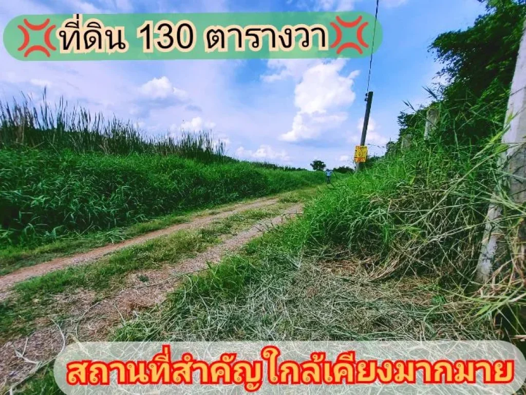 ขายด่วน ที่ดินคลองห้า 130 ตารางวา ติดถนนลูกรังสาธารณะ ซคลองห้าตะวันออก 30 อคลองหลวง