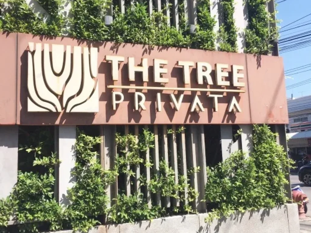 คอนโด มือสอง Condo The Tree Privata คอนโด เดอะทรี พริวาต้า ชั้น4 บางซื่อ เตาปูน บางโพ ประชาราษฎร์ สาย1 วิวใกล้แม่น้ำ ใกล้MRTบางโพ อยู่ฝั่งสวนโซนกลาง