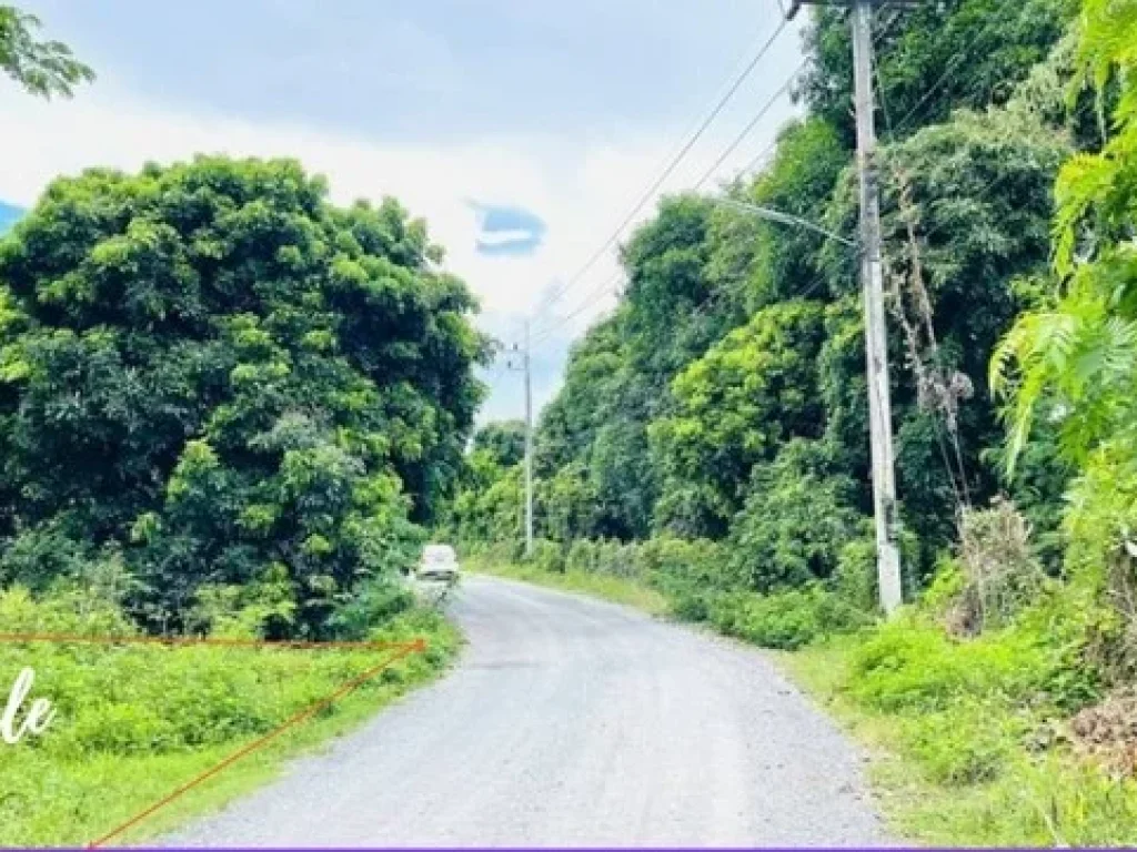 ขายที่ดิน แปลงหัวมุม 5-3-345 ไร่ ท่าวังตาล สารภี เชียงใหม่ เหมาะสำหรับทำโครงการ