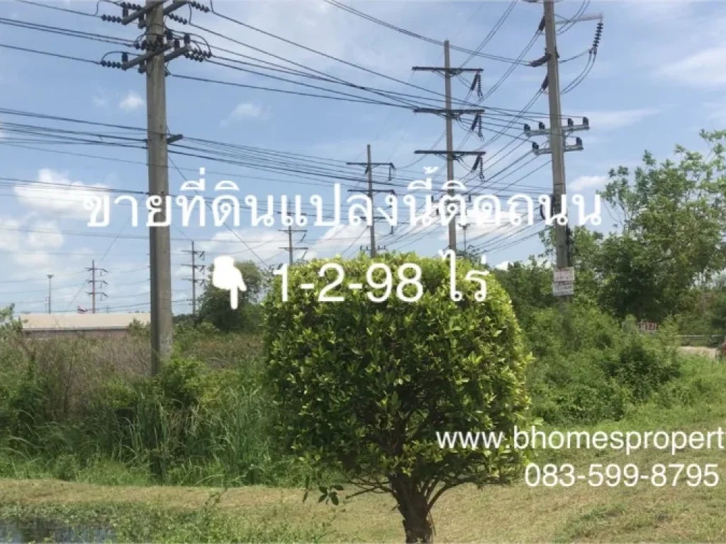 ขายที่ดิน ถนนสามโคก-เสนา ติดกับ อบตคลองควาย อสามโคก จปทุมธานี 1-2-98 ไร่