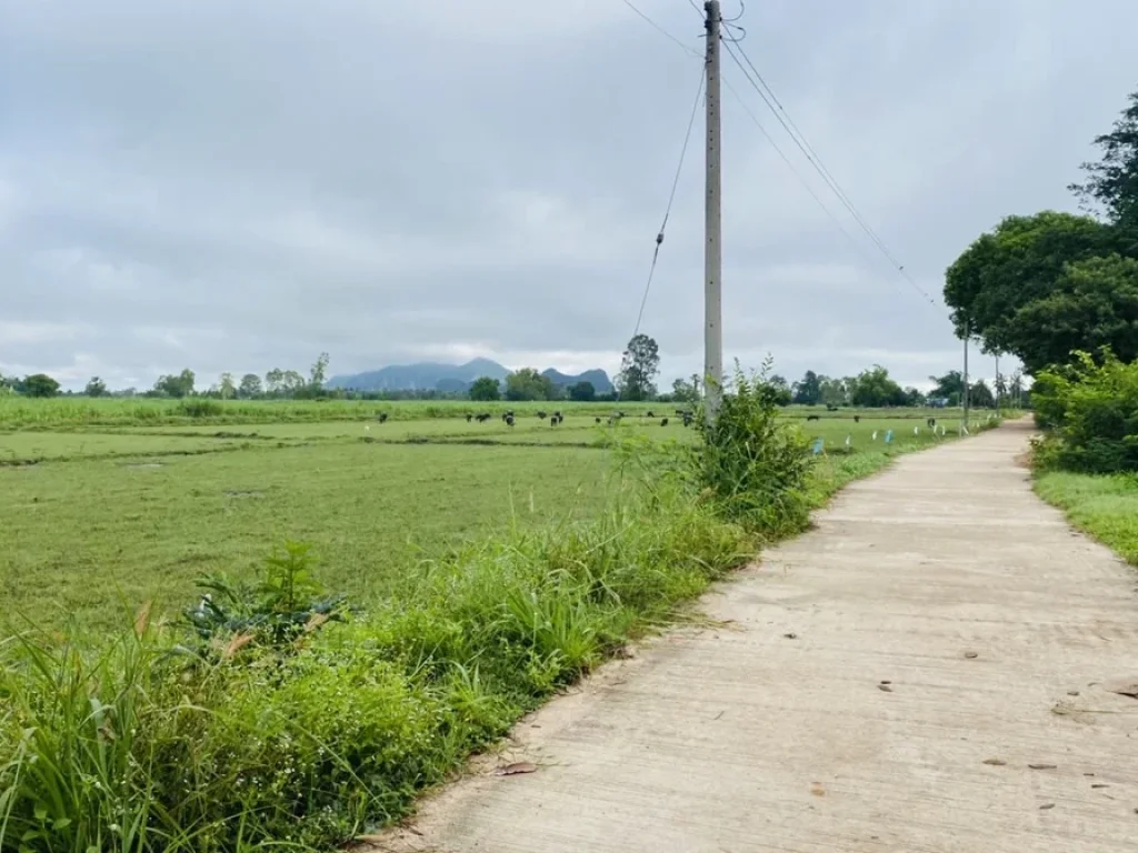 ขายที่ดิน 2 ไร่ ใกล้หุบป่าตาด ตทุ่งนางาม อลานสัก จอุทัยธานี