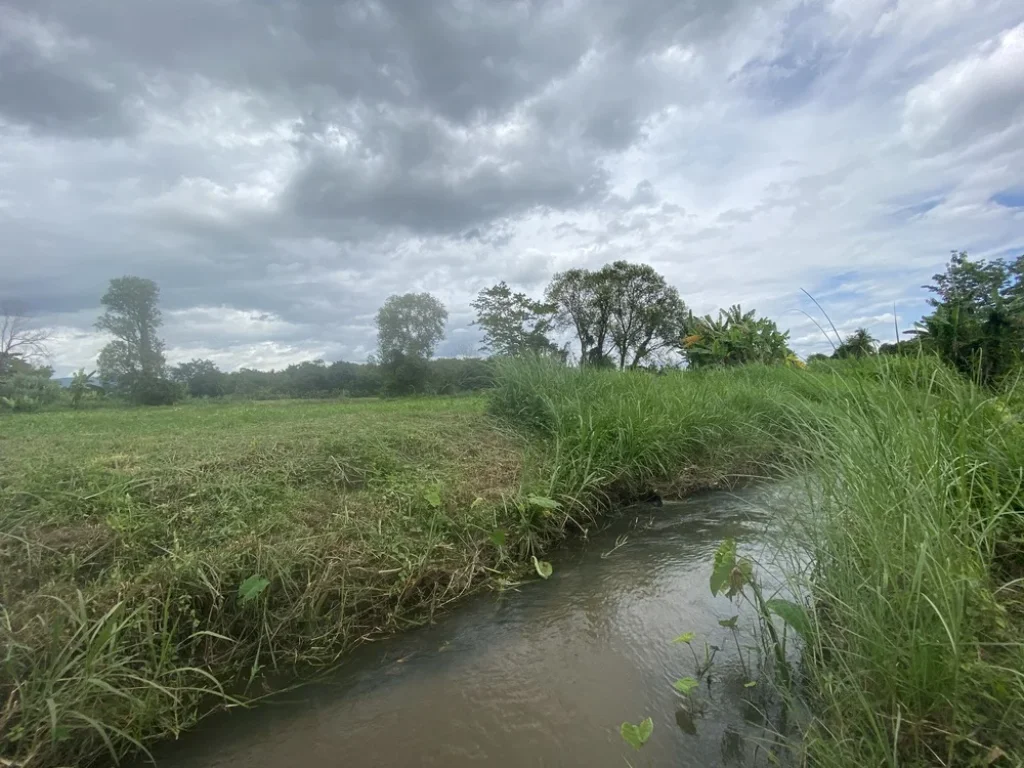 ที่ดิน แม่แตง เชียงใหม่ ติดน้ำ มีน้ำเหมืองล้อม ภูเขา มีโฉนด