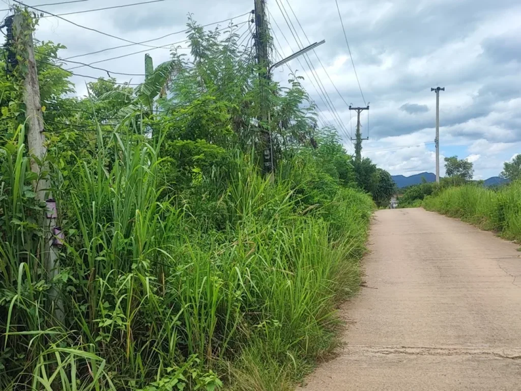 ขายที่ดินติดถนนคอนกรีต หลังติดห้วย หน้าววิวเขา 5-3-74 ไร่ ตกลัดหลวง