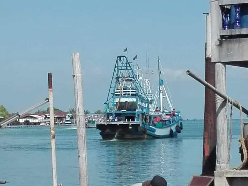 ขายที่ดินทำเลทอง เหมาะสร้างท่าเรือส่วนตัวไปเกาะสมุยเกาะพงันเกาะเต่า ด้านกน้าติดถนนด้านหลังติดแม่น้ำมองเห็นทะเลอ่าวไทย