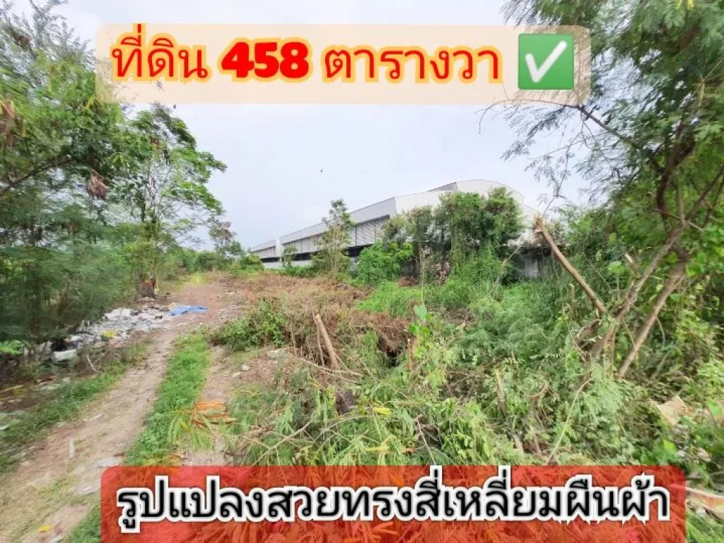 ขายขาดทุน ที่ดินติดถนน 4 เลน เนื้อที่ 458 ตารางวา แปลงมุมใกล้สี่แยกไทรน้อย