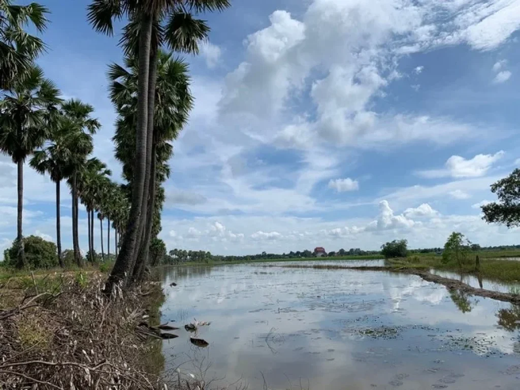 ขายที่ดิน ถนน รังสิต-นครนายก ตำบล บางอ้อ อำเภอ บ้านนา จังหวัด นครนายก