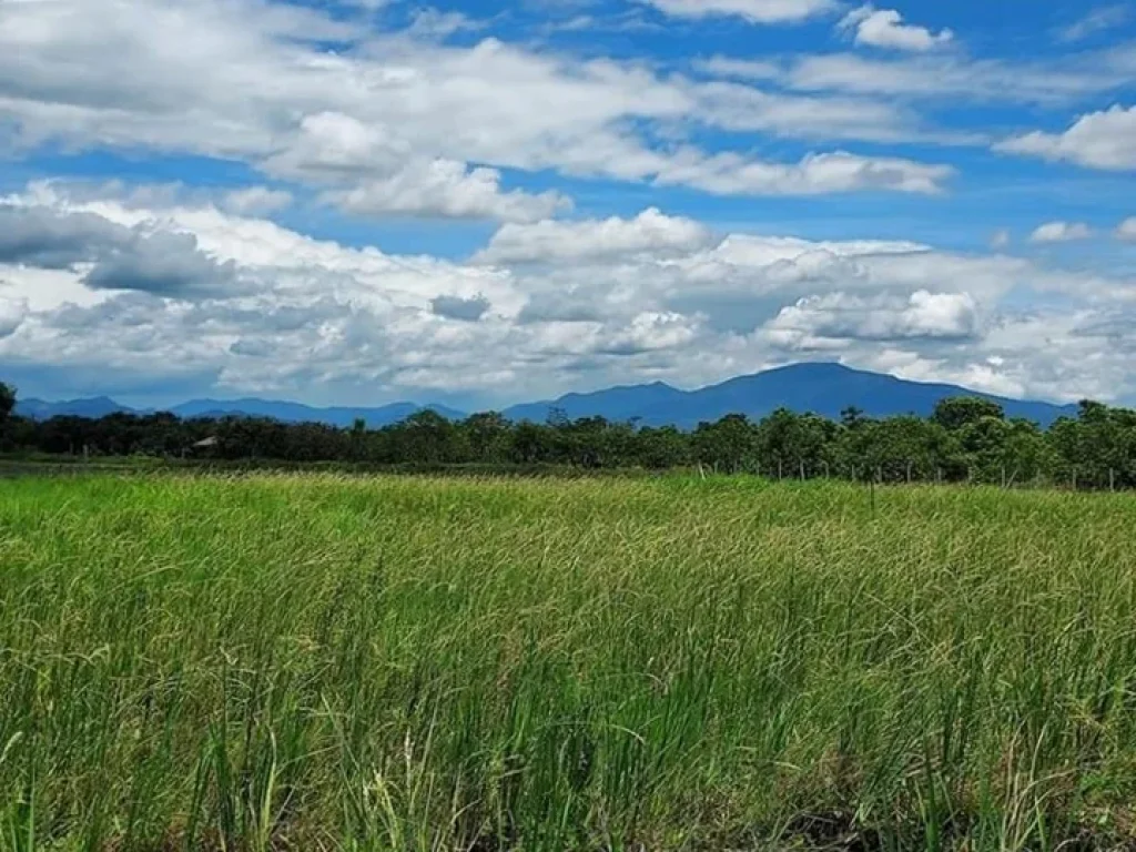 ที่ดินวิวดอยสวย หางดง ใกล้ มนอร์ท เชียงใหม่ จากสนามบิน 17 กม