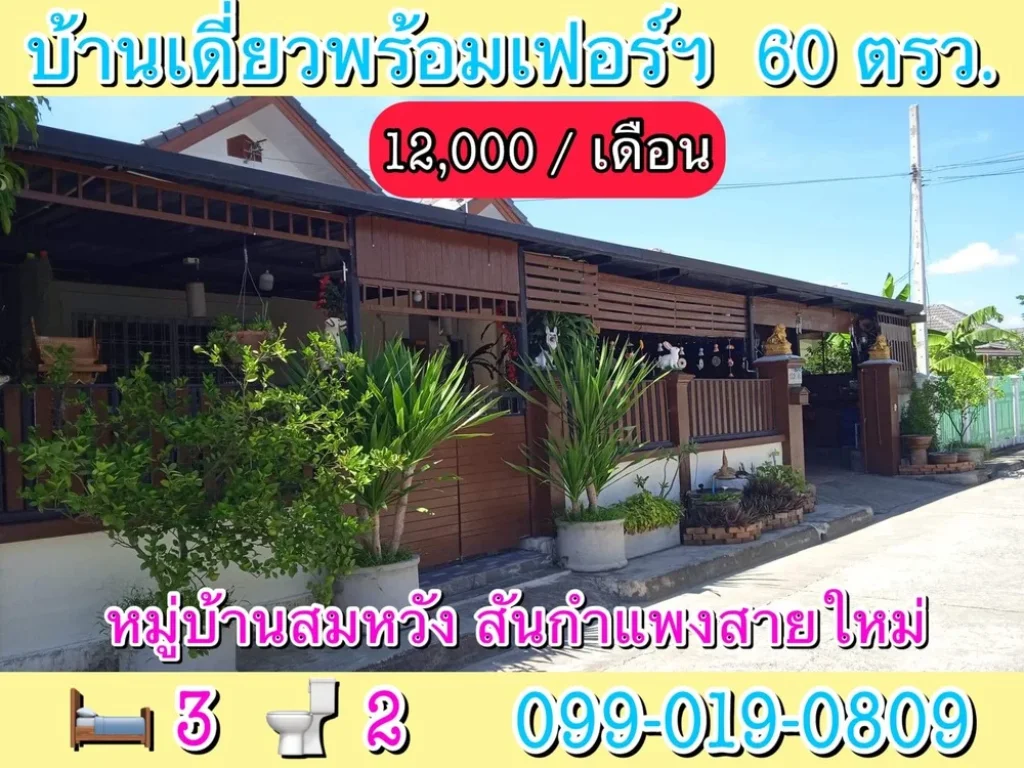 บ้านให้เช่า เนื้อที่ 60 ตรว สมหวัง สันกำแพงสายใหม่