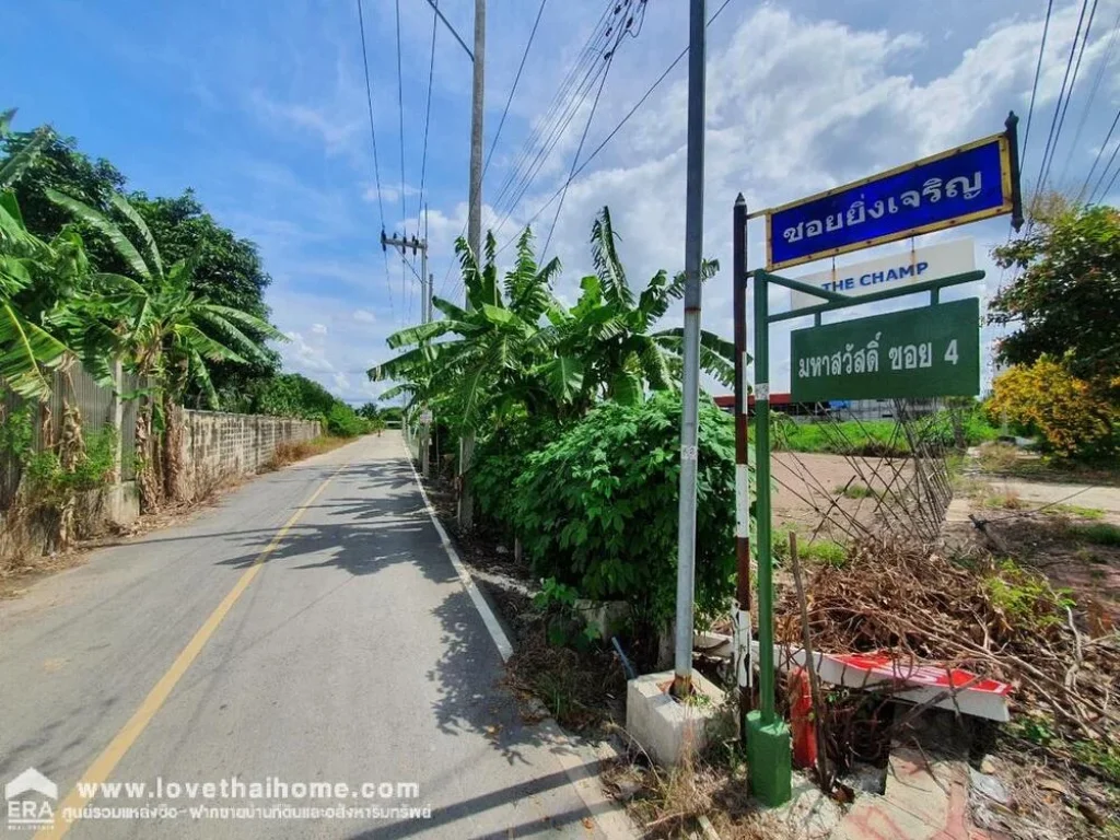 ขายที่ดินนครชัยศรี ซมหาสวัสดิ์4 ซอยยิ่งเจริญ หรือซอยศาลเจ้ากวนอู พื้นที่135ตรว วาละ10000บาท ห่างจากถนนศาลายา-นครชัยศรี ประมาณ 300 เมตร