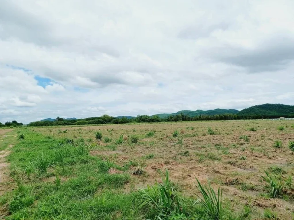 ขายที่ดินติดถนนลาดยาง ท่าม่วง กาญจนบุรี 90 ไร่ เห็นวิวเขา ใกล้แหล่งชุมชน เหมาะทำการเกษตร