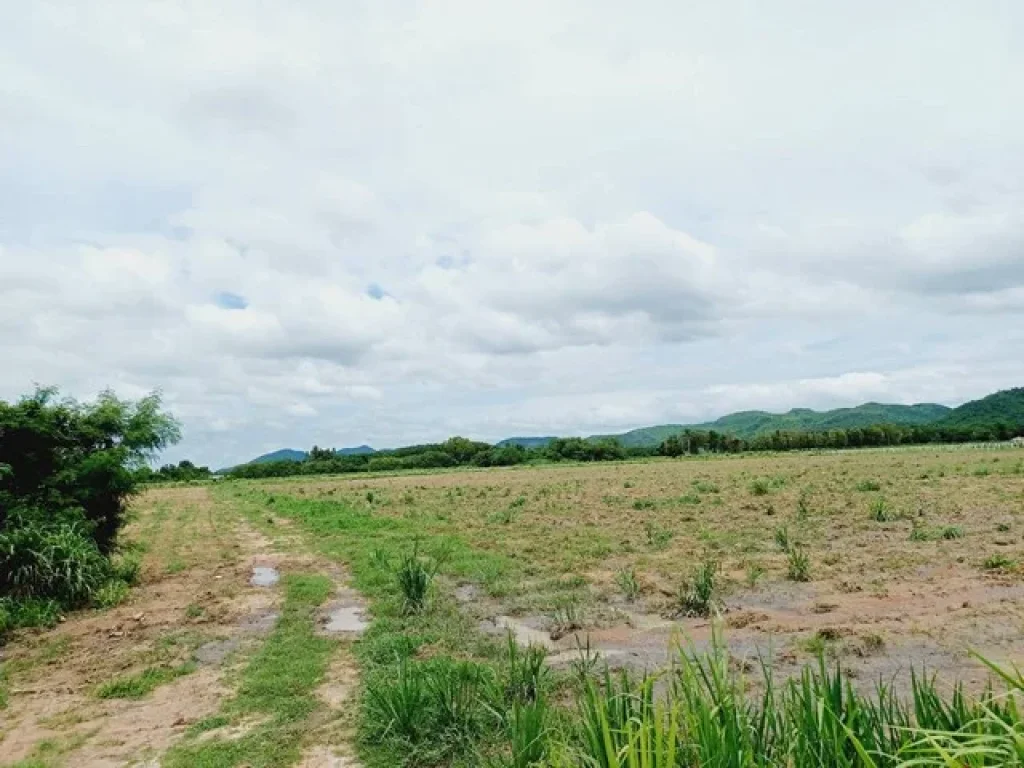 ขายที่ดินติดถนนลาดยาง ท่าม่วง กาญจนบุรี 90 ไร่ เห็นวิวเขา ใกล้แหล่งชุมชน เหมาะทำการเกษตร