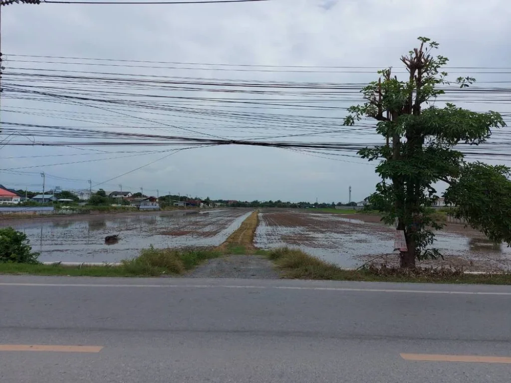 ขายที่ดินบางบัวทอง 29 ไร่ ติดถนนบ้านกล้วย-ไทรน้อย ห่างถนนกาญจนาภิเษก 3 กม ห่างเซ็นทรัล เวสต์เกต 7 กม