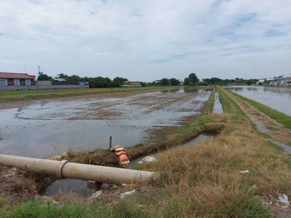 ขายที่ดินบางบัวทอง 29 ไร่ ติดถนนบ้านกล้วย-ไทรน้อย ห่างถนนกาญจนาภิเษก 3 กม ห่างเซ็นทรัล เวสต์เกต 7 กม