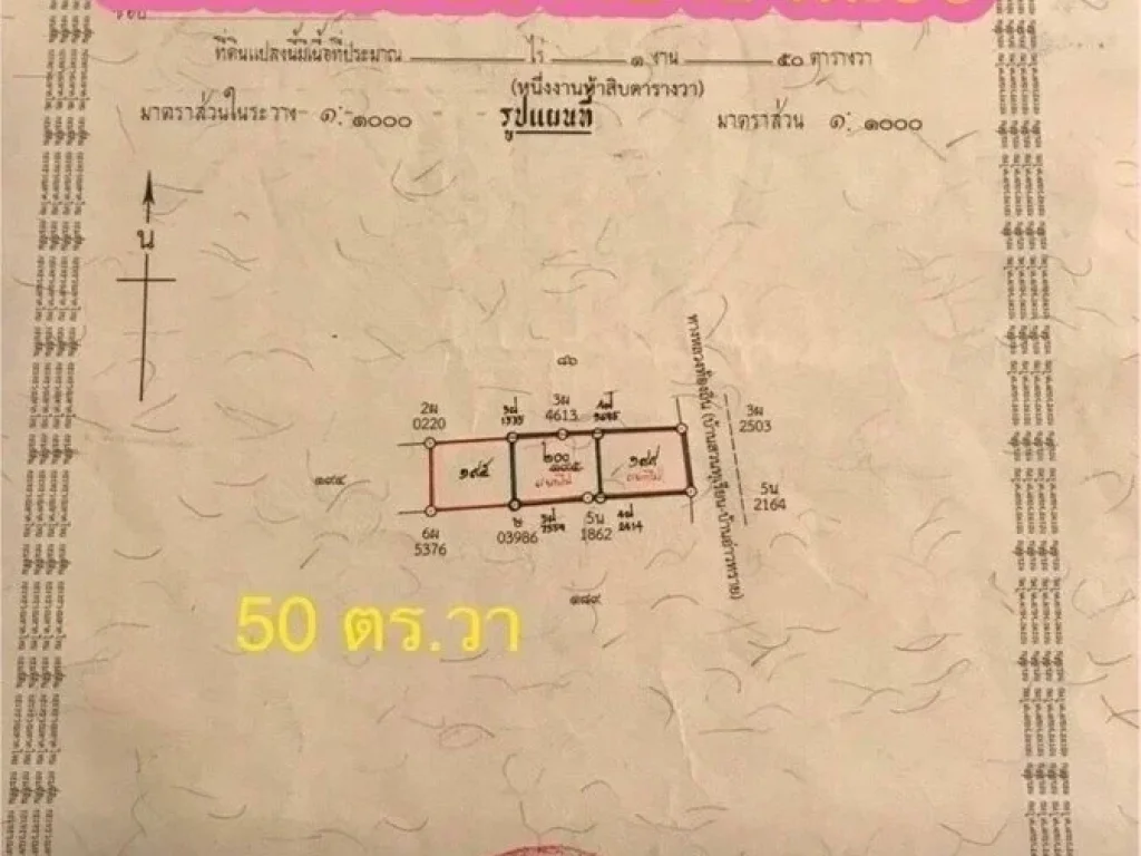 ที่ดิน หลังบ้าน รศ83 ใกล้ คุ้มไทรงาม เกาะยอ สงขลา