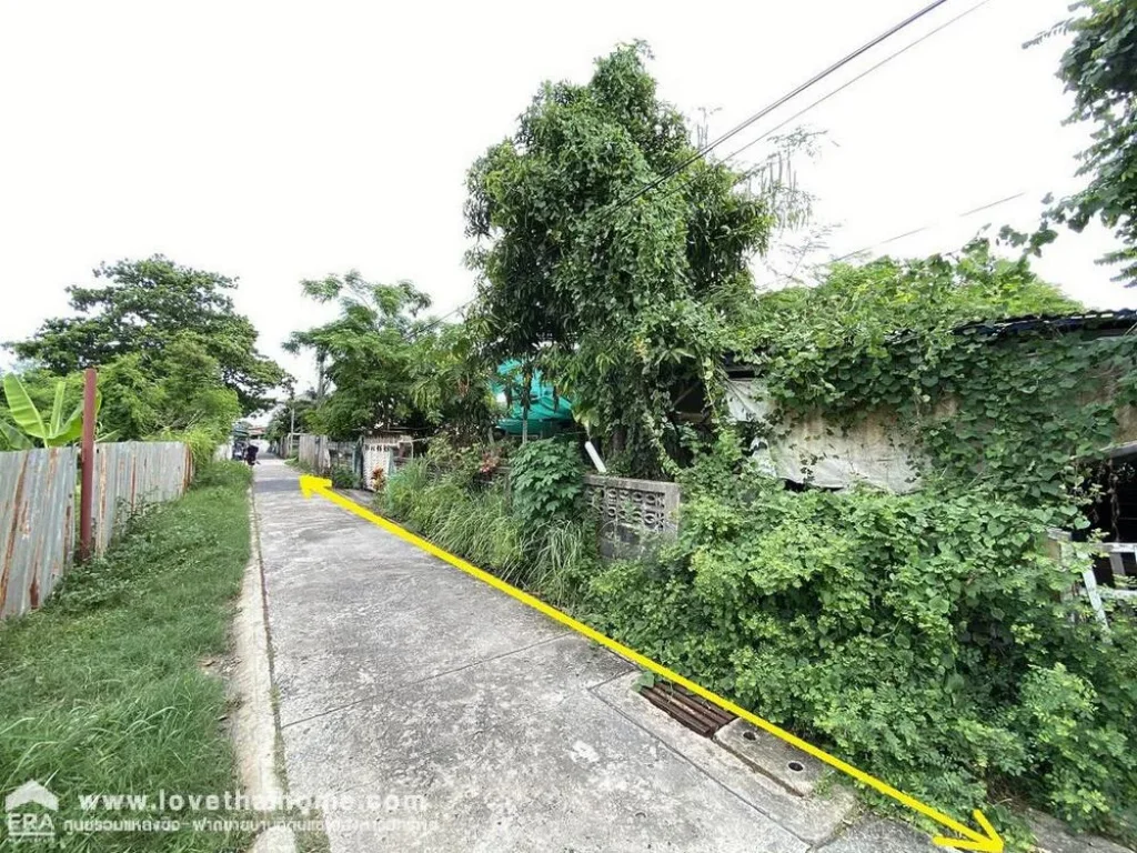 ขายที่ดินถนนสรรพาวุธ ซอยจ่าโสด11 พื้นที่406ตรว เข้าซอยเพียง 600 เมตร แปลงสวยมากสี่เหลี่ยมจตุรัส ใกล้BTS สถานีแบริ่ง