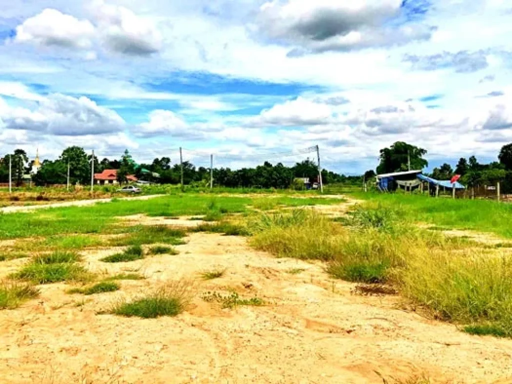 ขายที่ดินวิวเขาสวยๆ ใกล้ถนนสันกำแพงสายใหม่ ตำบลแช่ช้าง อำเภอสันกำแพง