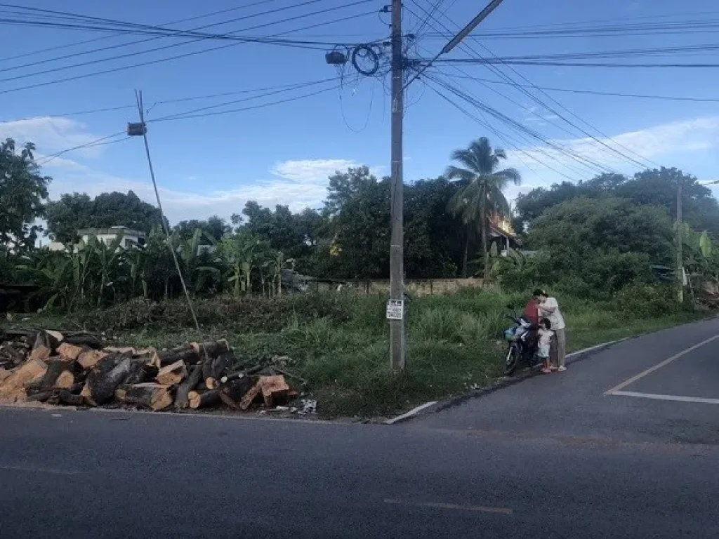 ขายที่ดินในตัวเมือง ตท่าบ่อ อท่าบ่อ จหนองคาย ตรงข้ามทางเข้าโลตัสท่าบ่อ