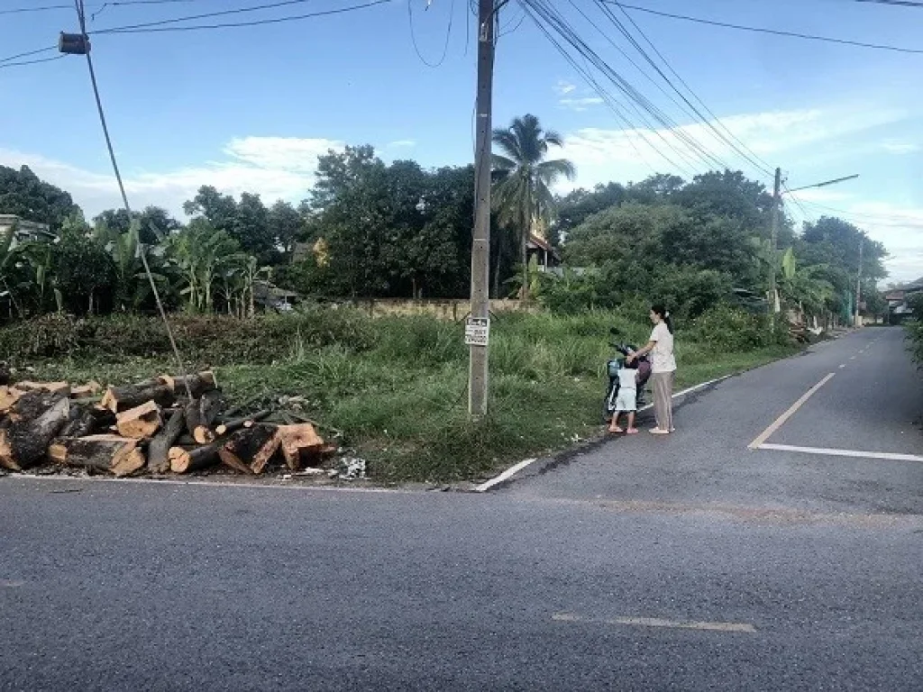 ขายที่ดินในตัวเมือง ตท่าบ่อ อท่าบ่อ จหนองคาย ตรงข้ามทางเข้าโลตัสท่าบ่อ