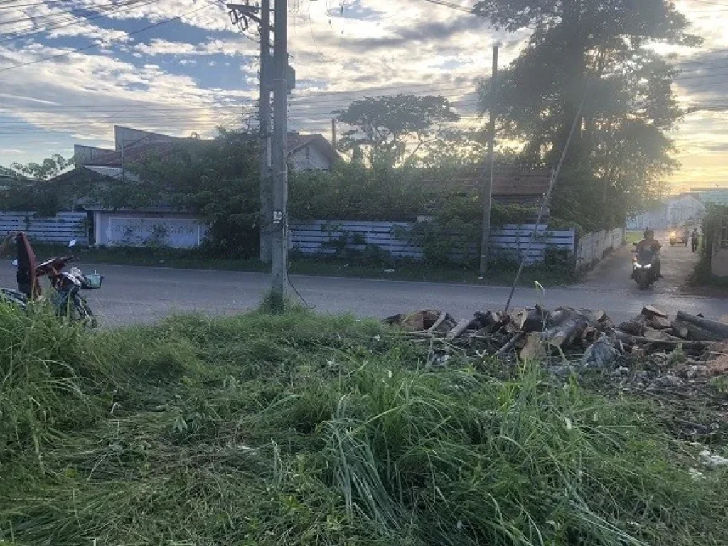 ขายที่ดินในตัวเมือง ตท่าบ่อ อท่าบ่อ จหนองคาย ตรงข้ามทางเข้าโลตัสท่าบ่อ