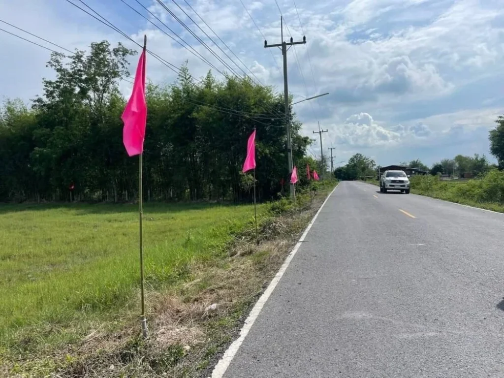 สามแปลงสุดท้าย ที่ดินแปลงสวย ได้ธรรมชาติ บ้านสวนผิวไผ่ บ้านพริก