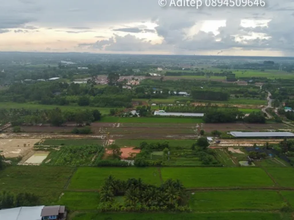 ขายที่ดินเปล่า หนองปรือ พนัสนิคม โฉนดเกือบ 9 ไร่ ที่ถมแล้ว ติดทางสาธารนะ ใกล้ทางหลวง 331 จชลบุรี