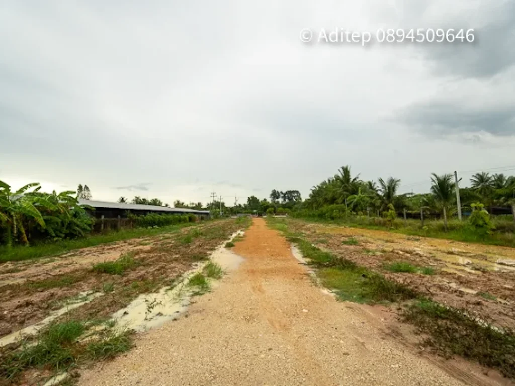 ขายที่ดินเปล่า หนองปรือ พนัสนิคม โฉนดเกือบ 9 ไร่ ที่ถมแล้ว ติดทางสาธารนะ ใกล้ทางหลวง 331 จชลบุรี