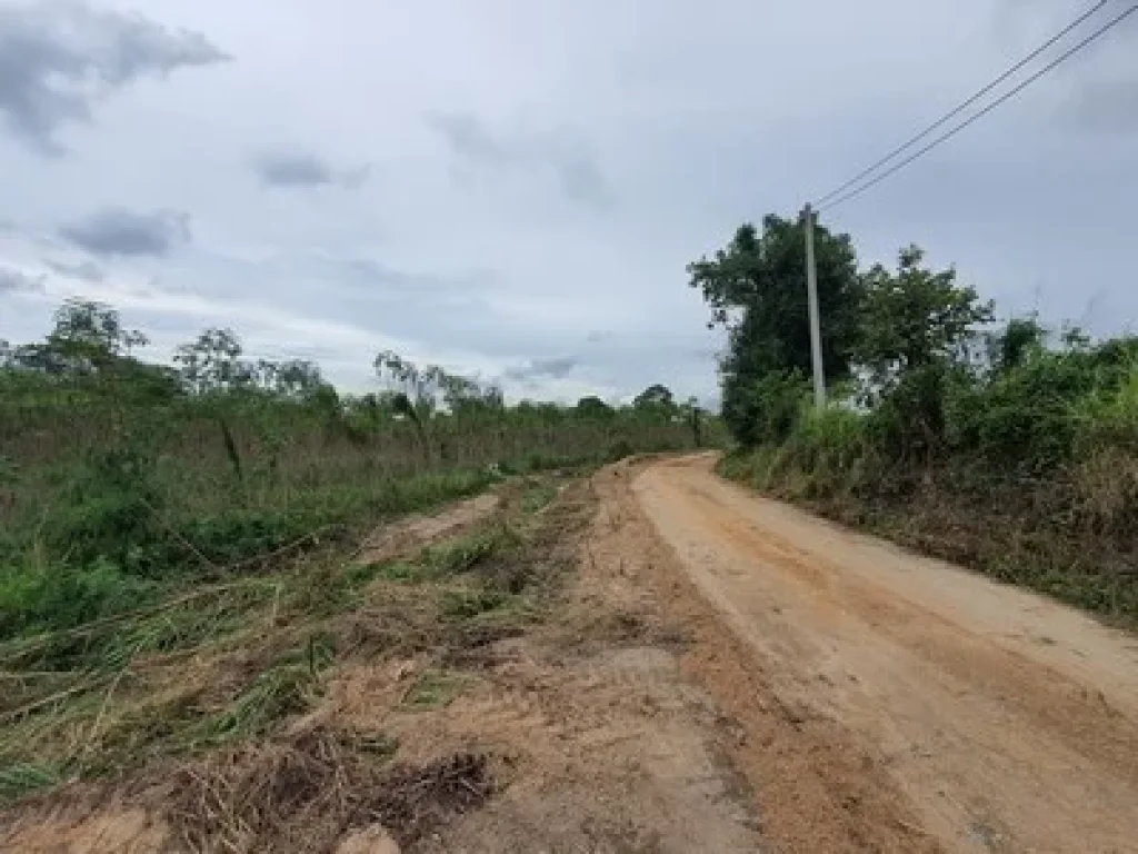 ขายที่ดิน เขาไม้แก้ว ใกล้ถนนใหญ่ 4 เลน สัตหีบ-พนมสารคาม ตรงข้ามพัทยา คันทรีคลับ