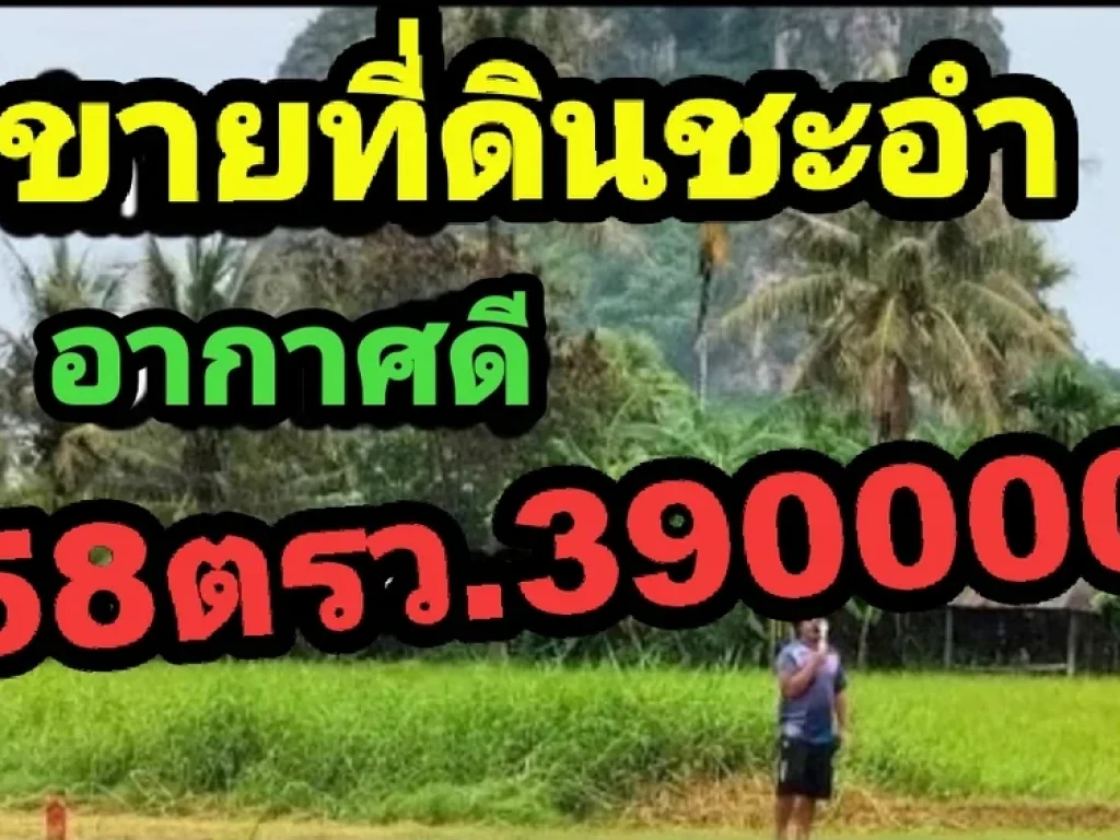 ขายที่ดินชะอำเพชรบุรีเนื้อที่58ตรวสำหรับปลูกบ้านอากาศดี