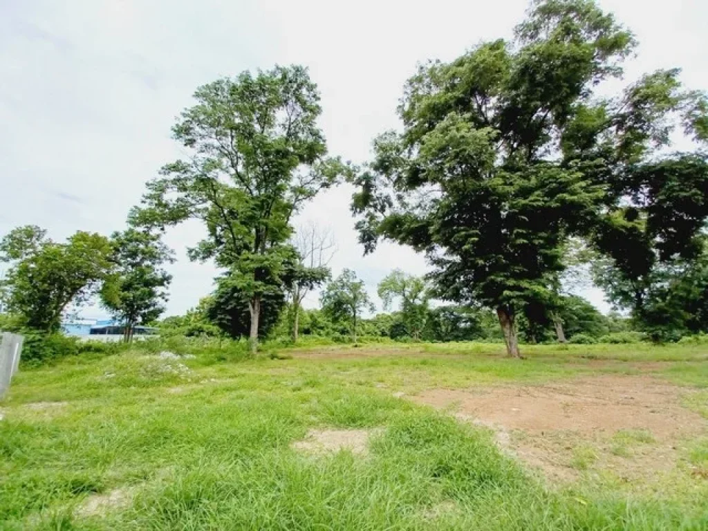 ขายที่ดินติดแม่น้ำป่าสัก แก่งคอย สระบุรี 2 ไร่กว่า บรรยากาศวิวดี เหมาะทำร้านกาแฟ หรือ ทำรีสอร์ท