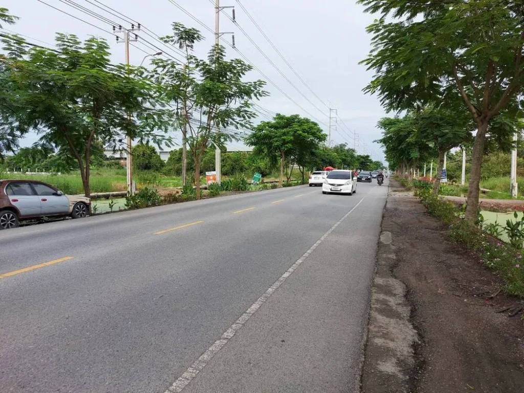 ขายที่ดินติดถนนมิตรไมตรีหนองจอก ใกล้ รรหนองจอกพิทยานุสรณ์ 4 ไร่กว่า ถมแล้ว ขาย ตรวา ละ 25000 บาท ผังเมืองสีเหลือง