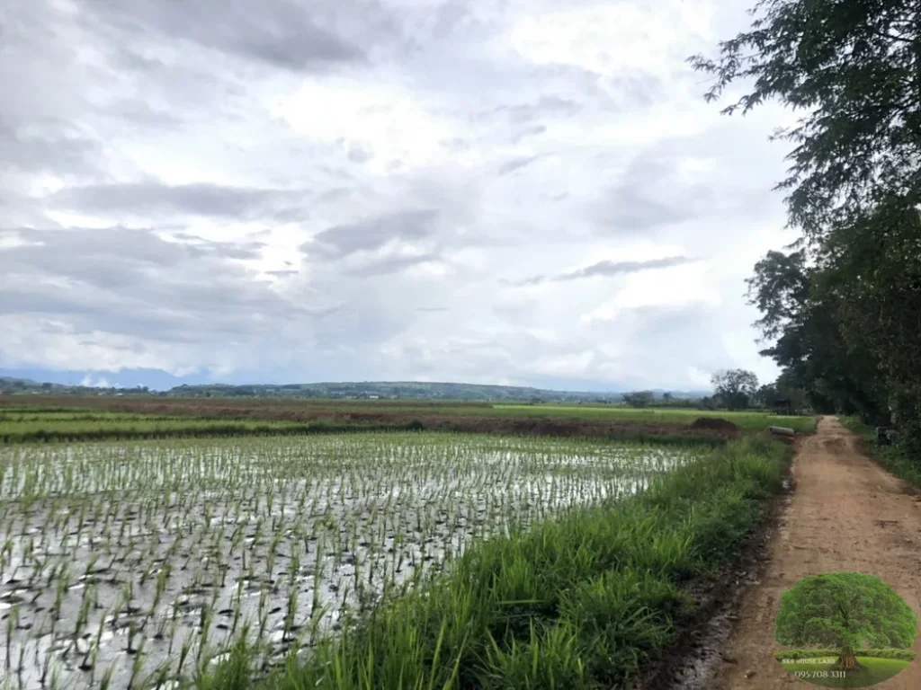 ขายที่ดิน ที่นา ใกล้แม่ขะจาน ใกล้เทศบาลเวียงกาหลง อเวียงป่าเป้า จเชียงราย ทำโคกหนองนา คาเฟ่ ร้านอาหาร บ้านพักต่างอากาศ เกษตรผสมผสาร