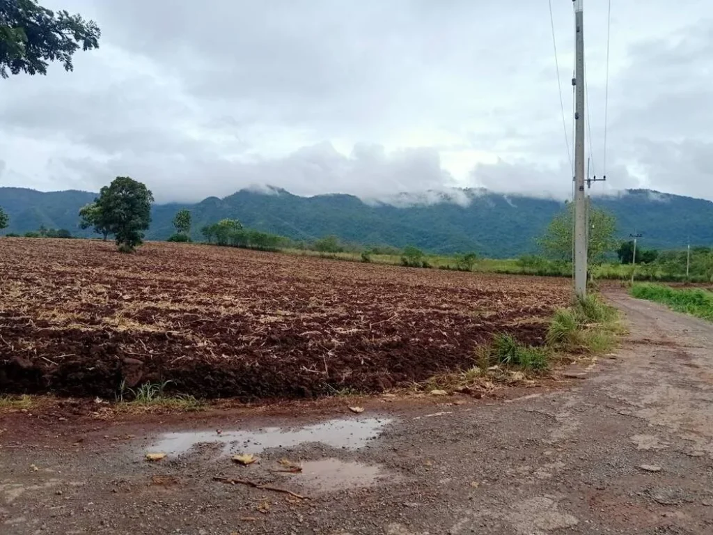 ขายที่ดินวิวอุทยานแห่งชาติเขาใหญ่ 2ไร่ หมูสี ปากช่อง บ้านเลือดไทย เหมาะทำบ้านพัก โรงแรม ที่สูงบนเนินวิวเขาสวยมาก ใกล้ทอสคาน่า คีรีมายา ใกล้อุทยาน