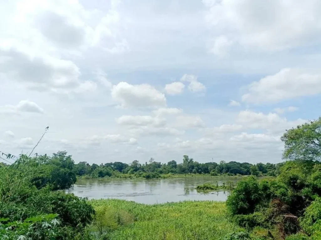 ขายที่ดินติดแม่น้ำ แม่กลอง กาญจนบุรี 2 ไร่ ถมแล้ว บรรยากาศวิวดีมาก เหมาะสร้างบ้าน หรือซื้อเก็บไว้