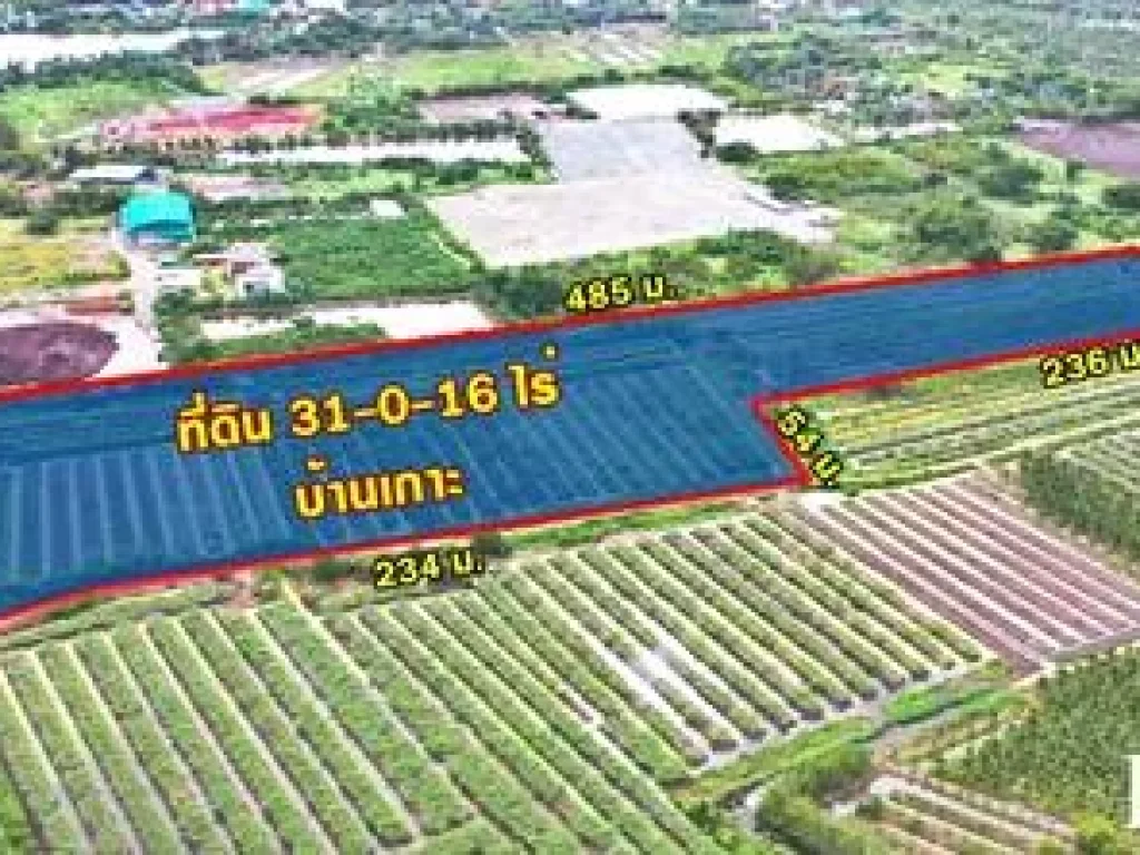 ขายที่ 31 ไร่ หน้ากว้างมาก 133 เมตร ราคาคุ้มสุดในตลาดเชื่อมต่อ หลายเส้นทาง ถนนสวนส้ม บางปลา และพระราม 2 - KK3681S