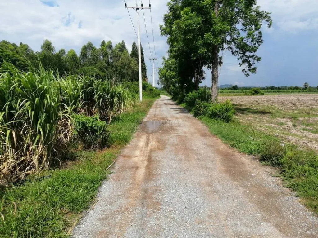 ขายที่ดิน ทำเลสวย บรรยากาศดี อำเภอห้วยกระเจา จังหวัดกาญจนบุรี