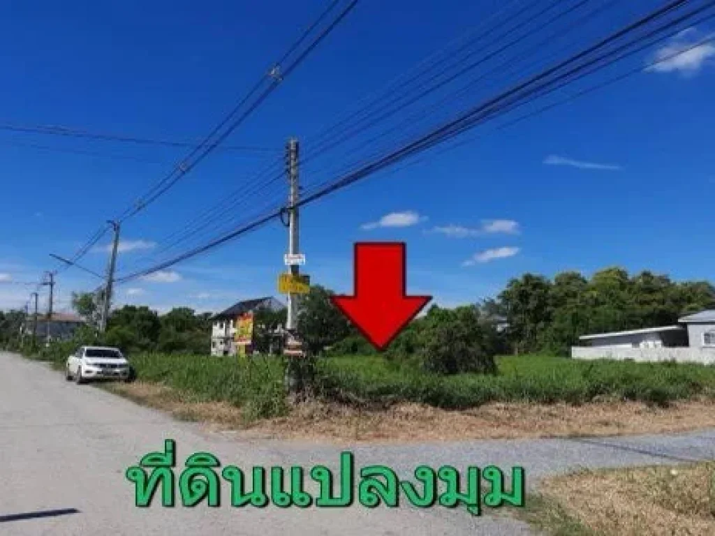 ขายที่ดิน 125 ตรว ซอยร่วมสุข 721 ตำบลบ้านใหม่ อำเภอเมือง จังหวัดปทุมธานี