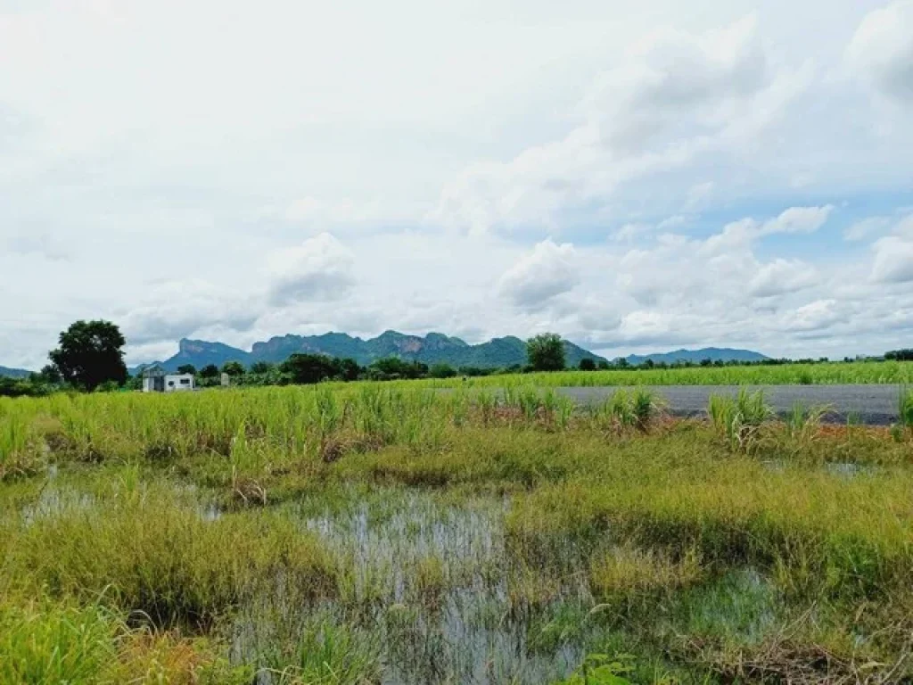 ขายที่ดินติดถนนลาดยาง ท่าม่วง กาญจนบุรี 3 ไร่ เห็นวิวภูเขา เห็นวิววัดถ้ำเสือไกลๆ เหมาะสร้างบ้าน