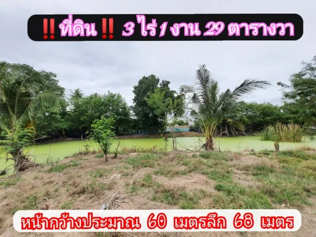 ขายถูก ที่ดินสร้างบ้านสวนติดคลอง 3-1-29 ไร่ หน้าติดถนนคอนกรีตสาธารณะ ตขุนศรี อไทรน้อย