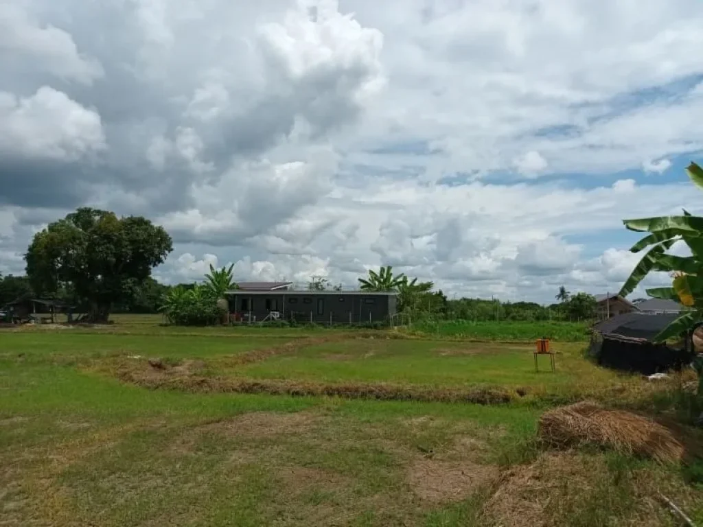 ขายที่หางดง ที่ดินติดถนน ใกล้ ปตทน้ำแพร่ เหมาะสำหรับทำบ้านจัดสรร เนื้อที่ 8-1-59 ไร่ ตน้ำแพร่ อหางดง จเชียงใหม่