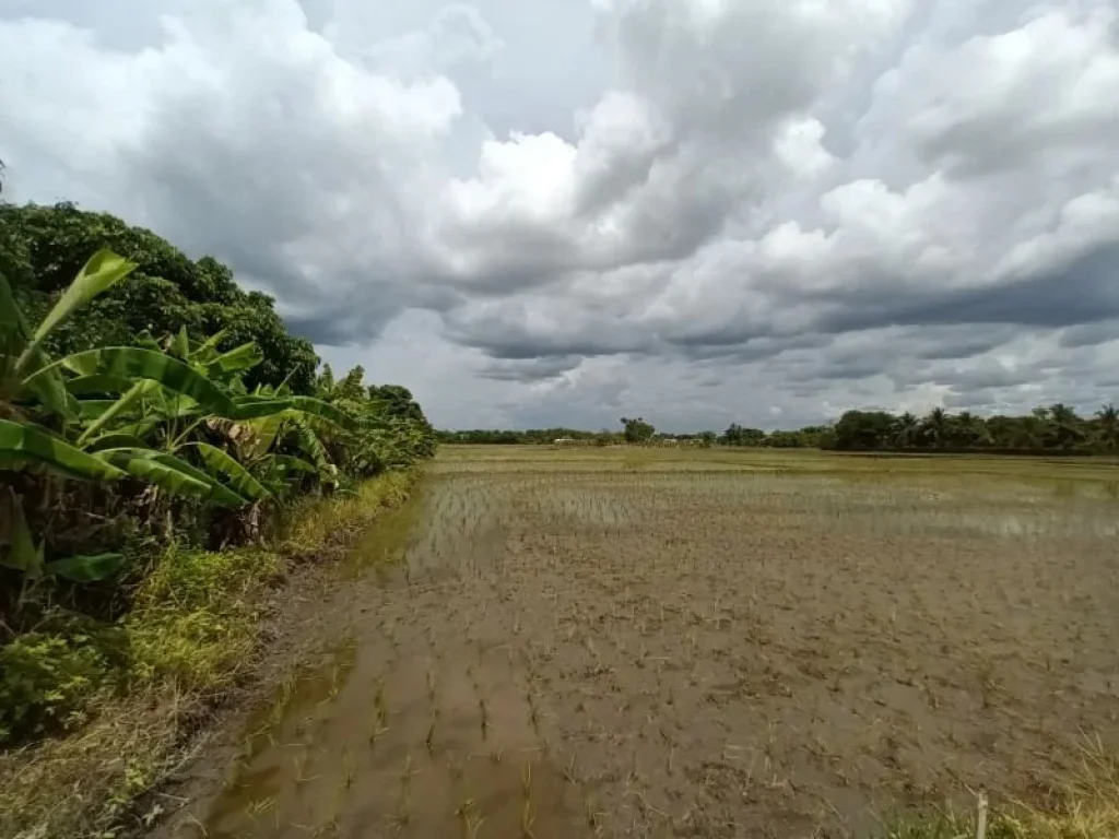 ขายที่หางดง ที่ดินติดถนน ใกล้ ปตทน้ำแพร่ เหมาะสำหรับทำบ้านจัดสรร เนื้อที่ 8-1-59 ไร่ ตน้ำแพร่ อหางดง จเชียงใหม่