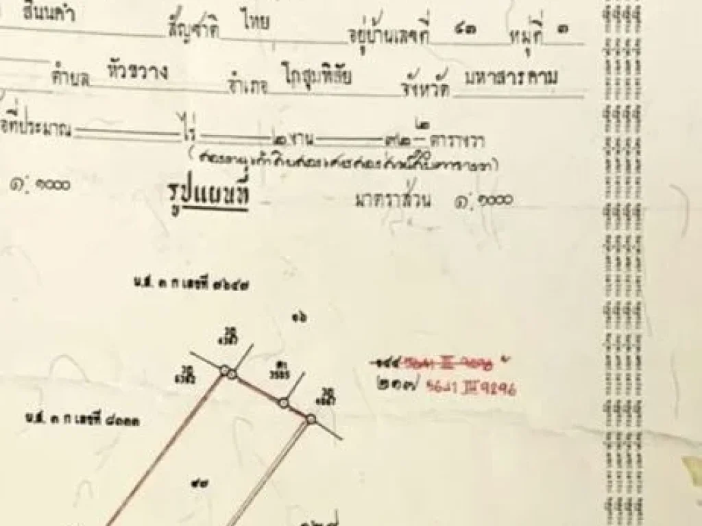 ขายที่ดิน ถมแล้ว ในเขตเทศบาล อำเภอโกสุมพิสัย มหาสารคาม