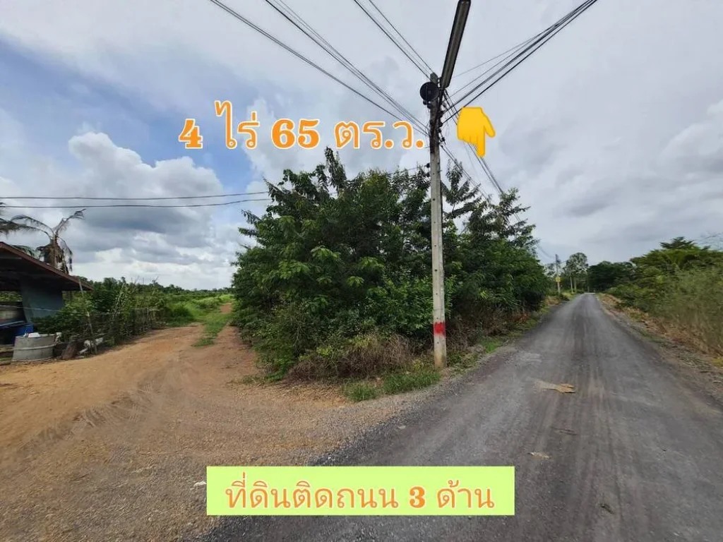 ขายถูกมาก ที่ดินสร้างบ้านสวน 4 ไร่เศษติดถนนเลียบคลองสาธารณะ คลอง 11 อหนองเสือ