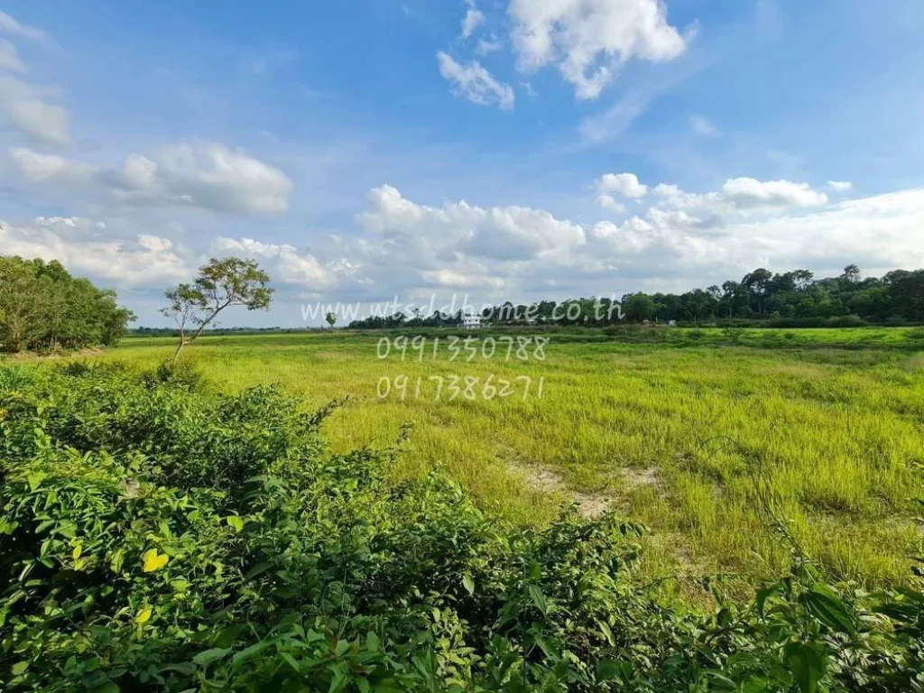 ขายที่ดิน 36 ไร่ 2 งาน 99 ตรว ตหนองแสง อประจันตคาม จปราจีนบุรี