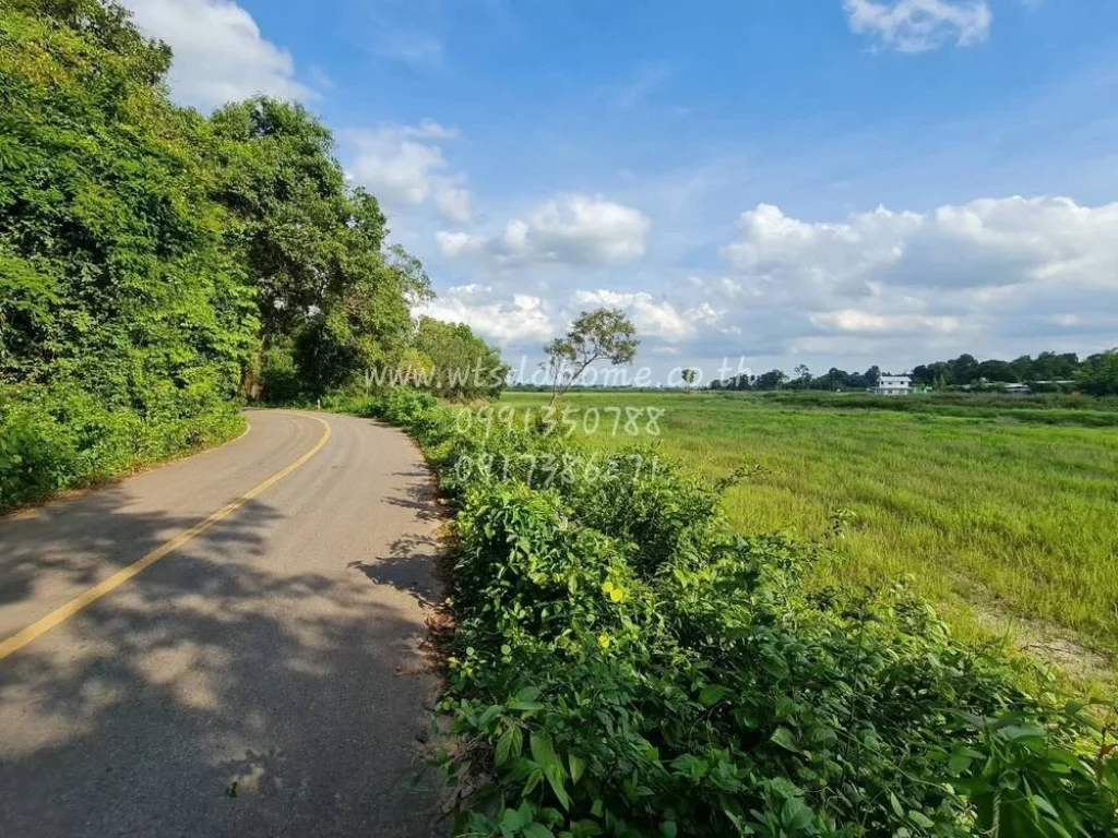 ขายที่ดิน 36 ไร่ 2 งาน 99 ตรว ตหนองแสง อประจันตคาม จปราจีนบุรี