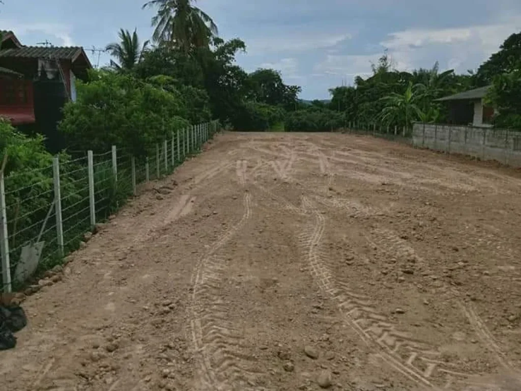 ขายที่ดินสันทรายแม่แฝกใหม่ใกล้ตลาดสดถนนลาดยางพร้อมโอน