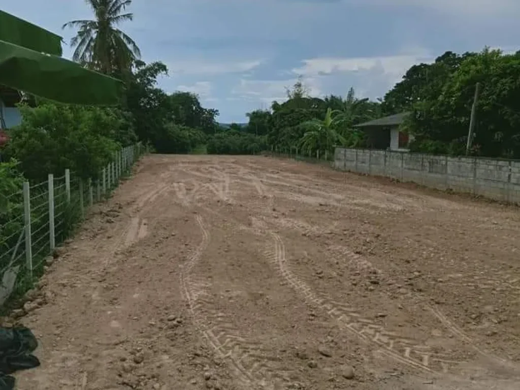 ขายที่ดินสันทรายแม่แฝกใหม่ใกล้ตลาดสดถนนลาดยางพร้อมโอน